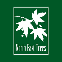North East Trees