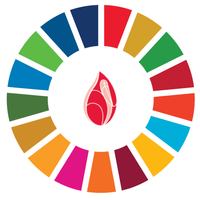 Irish Blood Transfusion Service