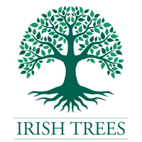 Irish Trees