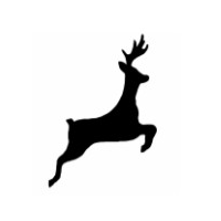 Decoy Community Primary School