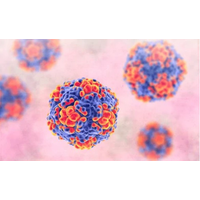 Enterovirus Mouse Model