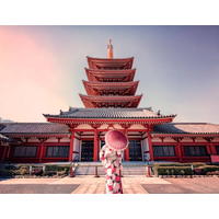 Japan eVisa for Cambodian Citizens