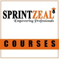 sprintzeal12