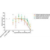 Tumor Organoid & CAF Co-culture