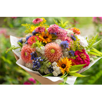 Sensation Flowers and Gifts