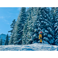 1-Year Private Homeschool Teacher / Learning Guide – Canada (Native English Speakers Only)