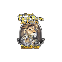 Lions Tigers & Bears