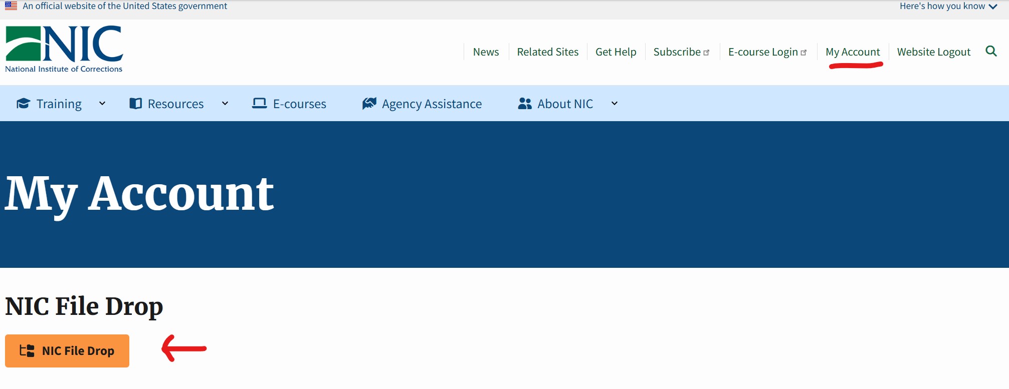 A screenshot of the my account page with the my account link and file drop buttons highlighted