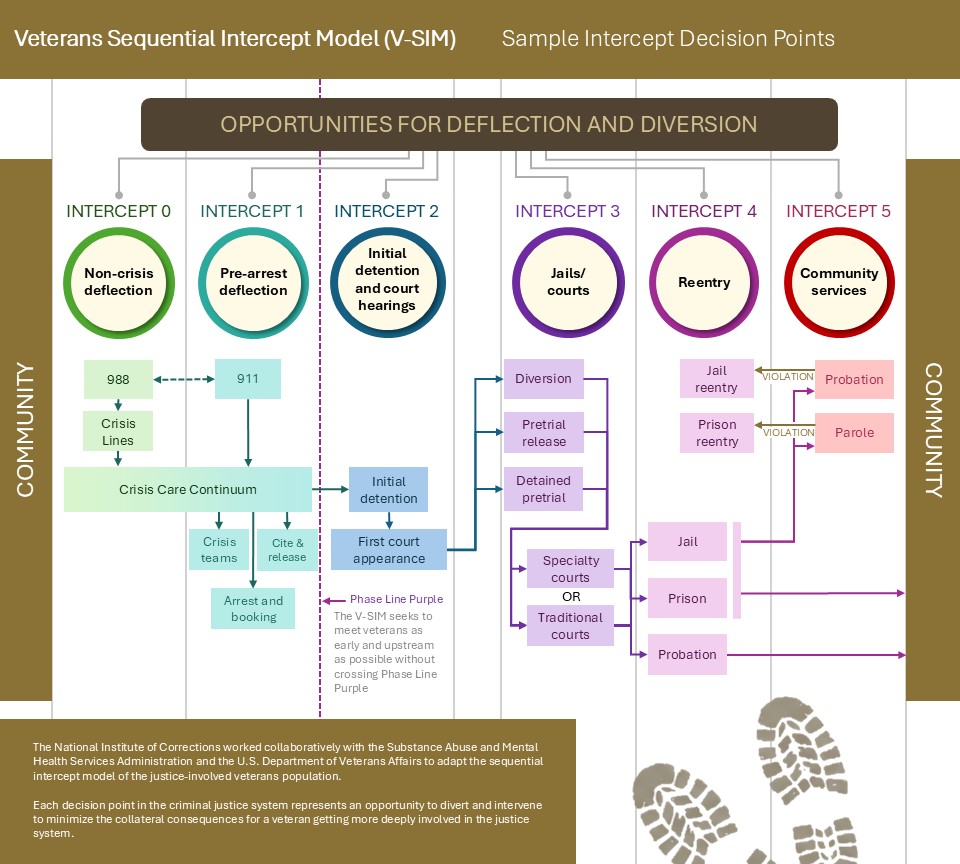 V-SIM Graphic