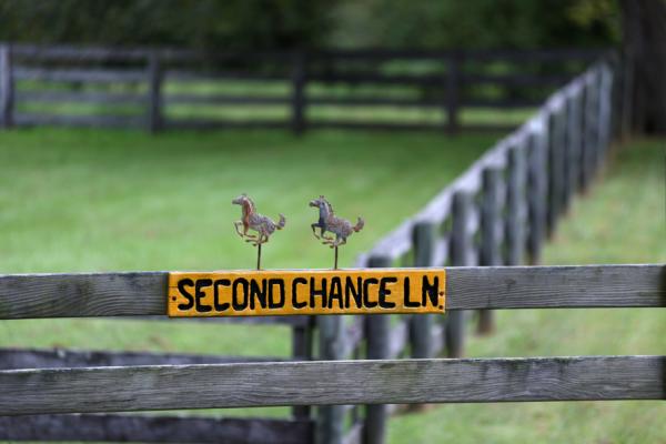 Second Chance Lane Horses Field