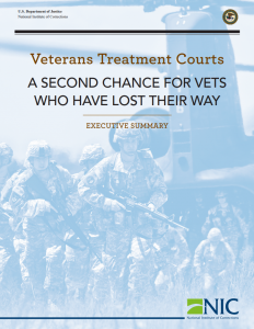 document cover for Veterans Treatment Courts: A Second Chance for Vets Who Have Lost Their Way