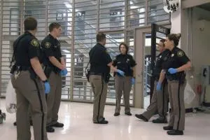 several officers