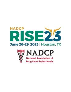 N.A.D.C.P. Logo for 2023 RISE conference