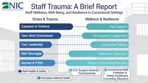 staff trauma