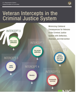 Veteran Intercepts in the Criminal Justice System cover