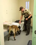 A sheriff and canine search a cell for contraband. Thanks to Scott County Sheriff's Office, Minnesota for the photo