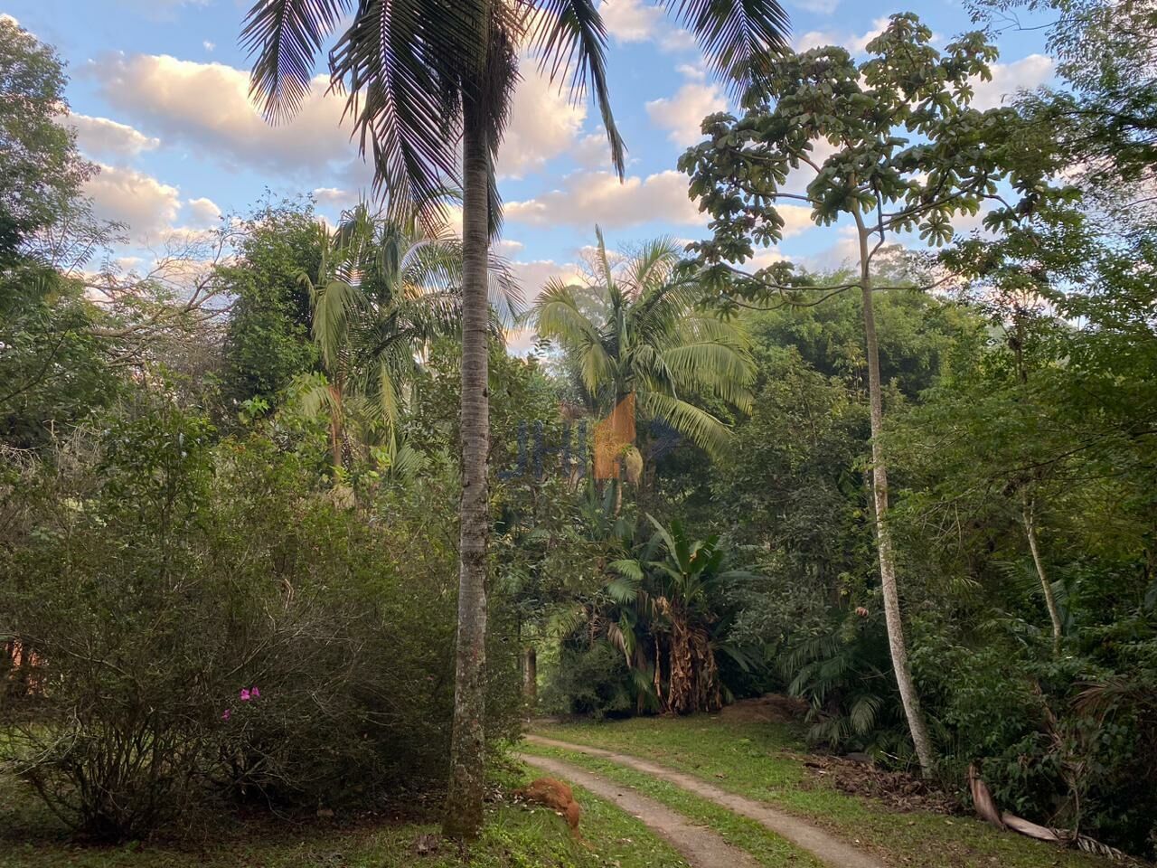 Chacara para Venda - Parque dos Caetes