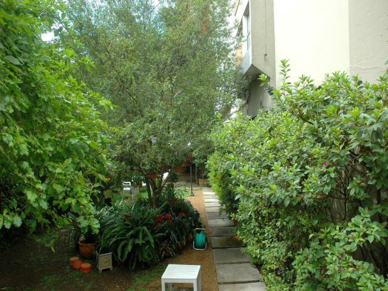Foto 17