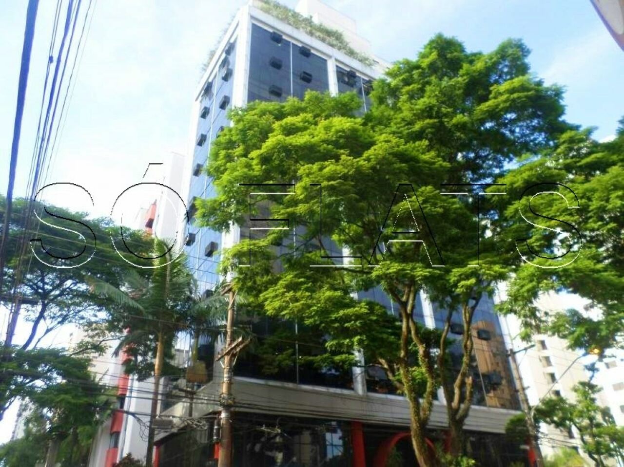 Foto 15