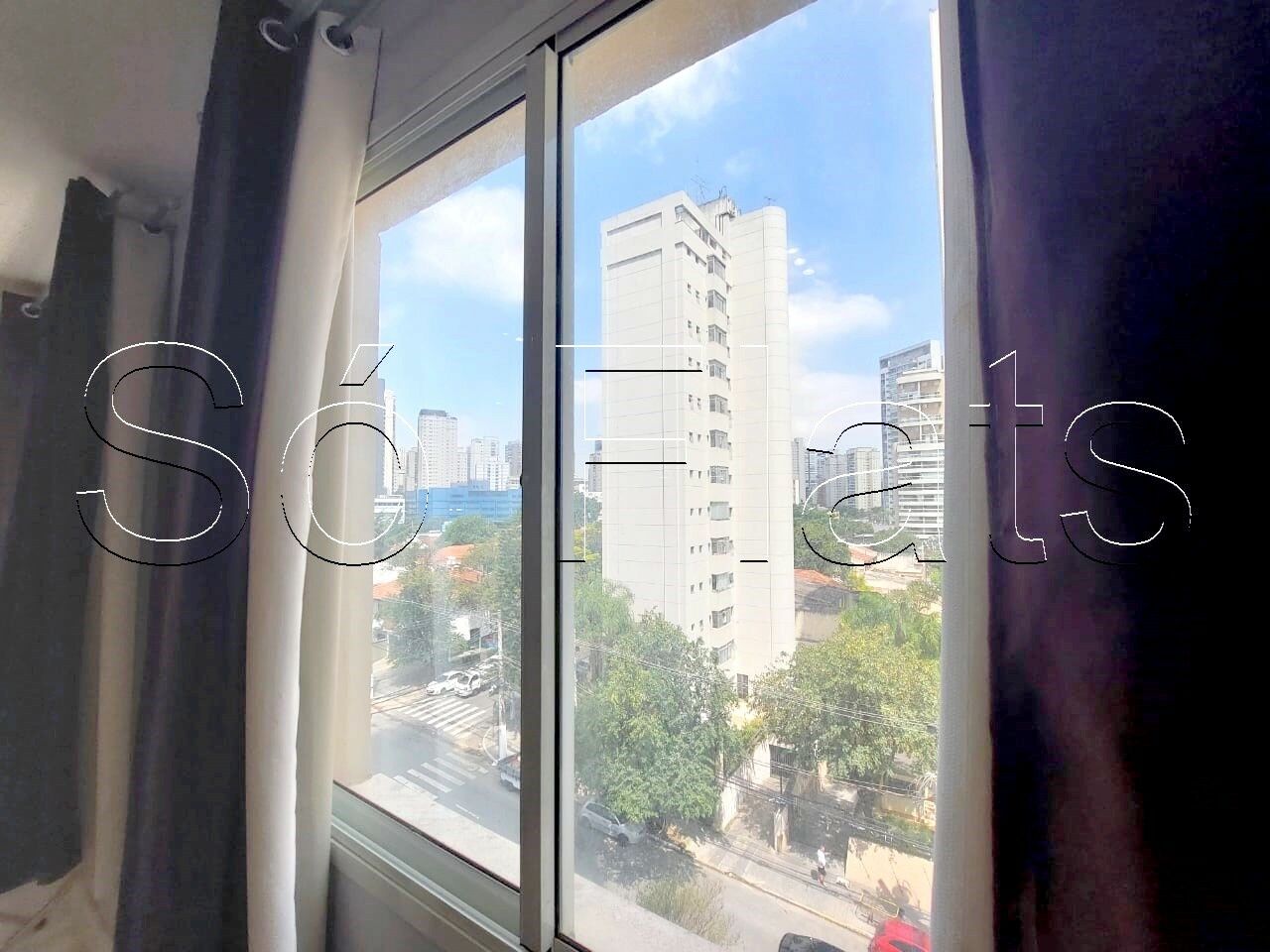 Foto 7