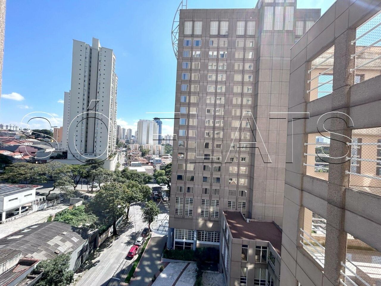 Foto 10