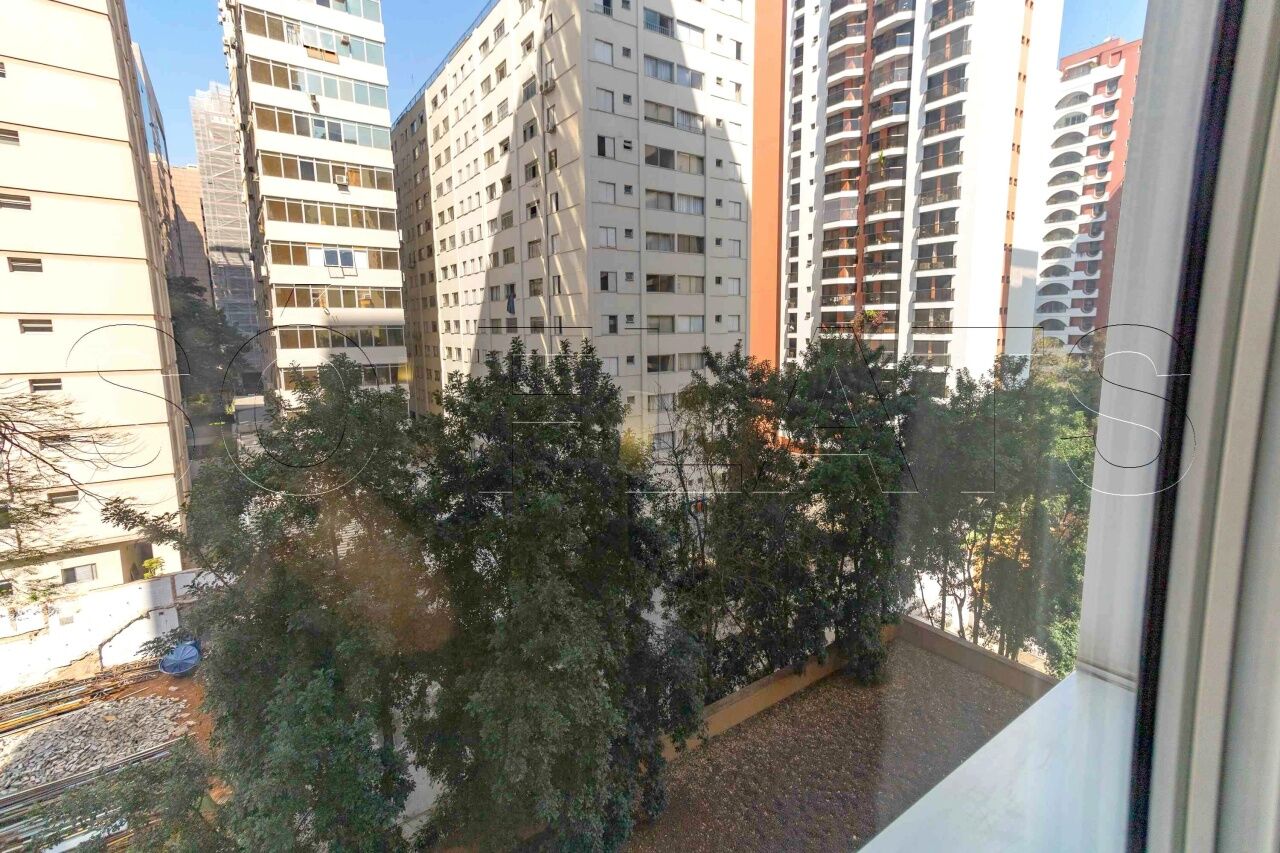 Foto 10