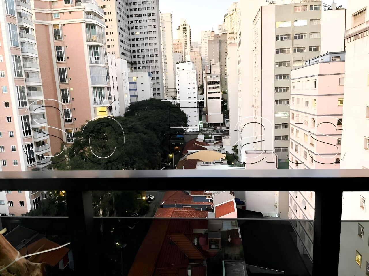 Foto 9