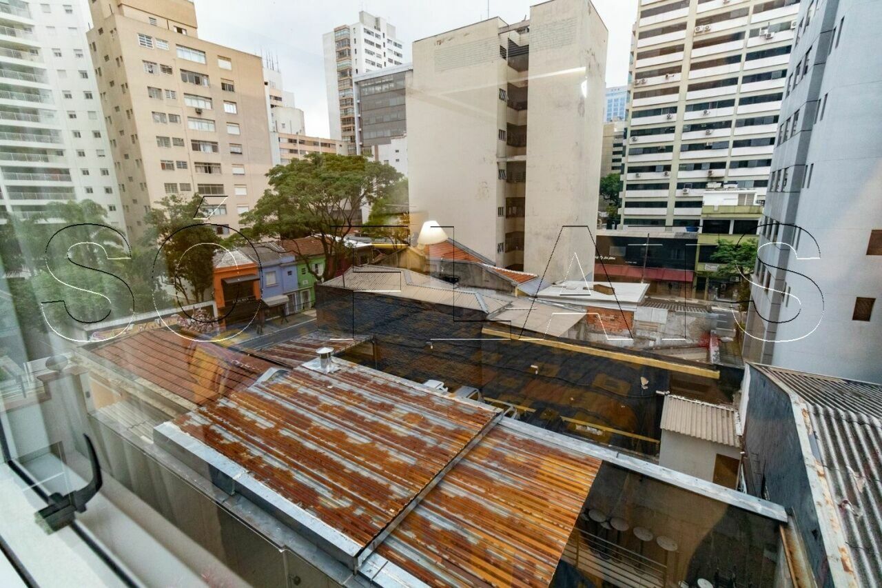 Foto 7