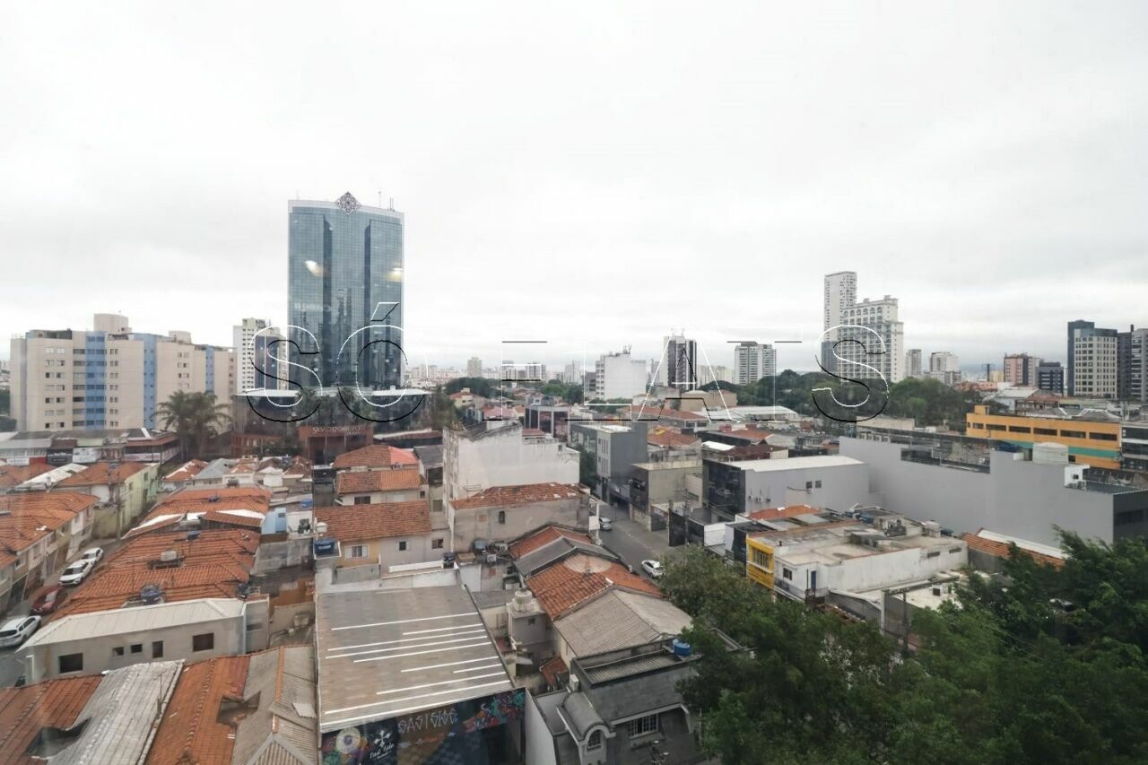 Foto 7