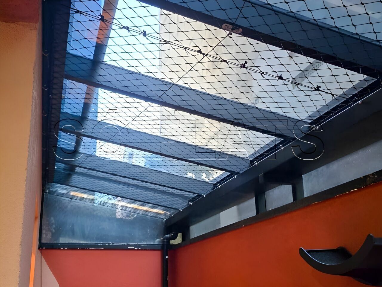 Foto 12