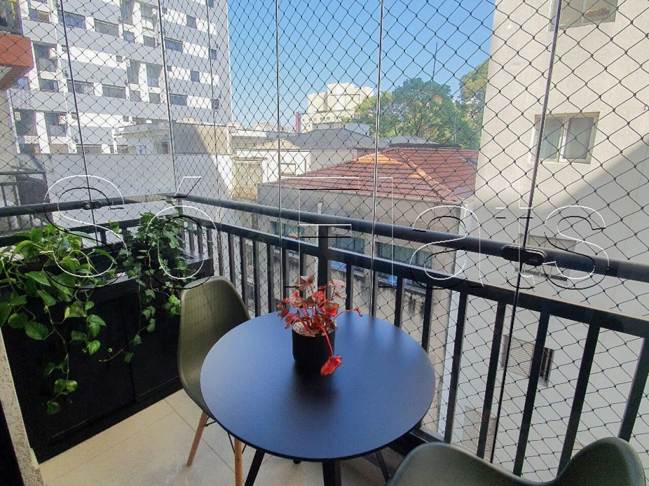 Foto 7
