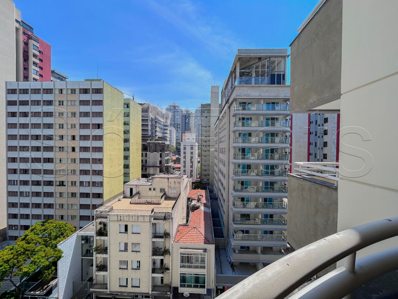 Foto 12