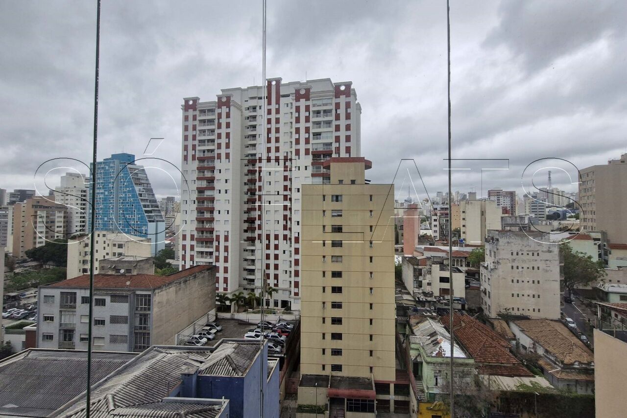 Foto 14