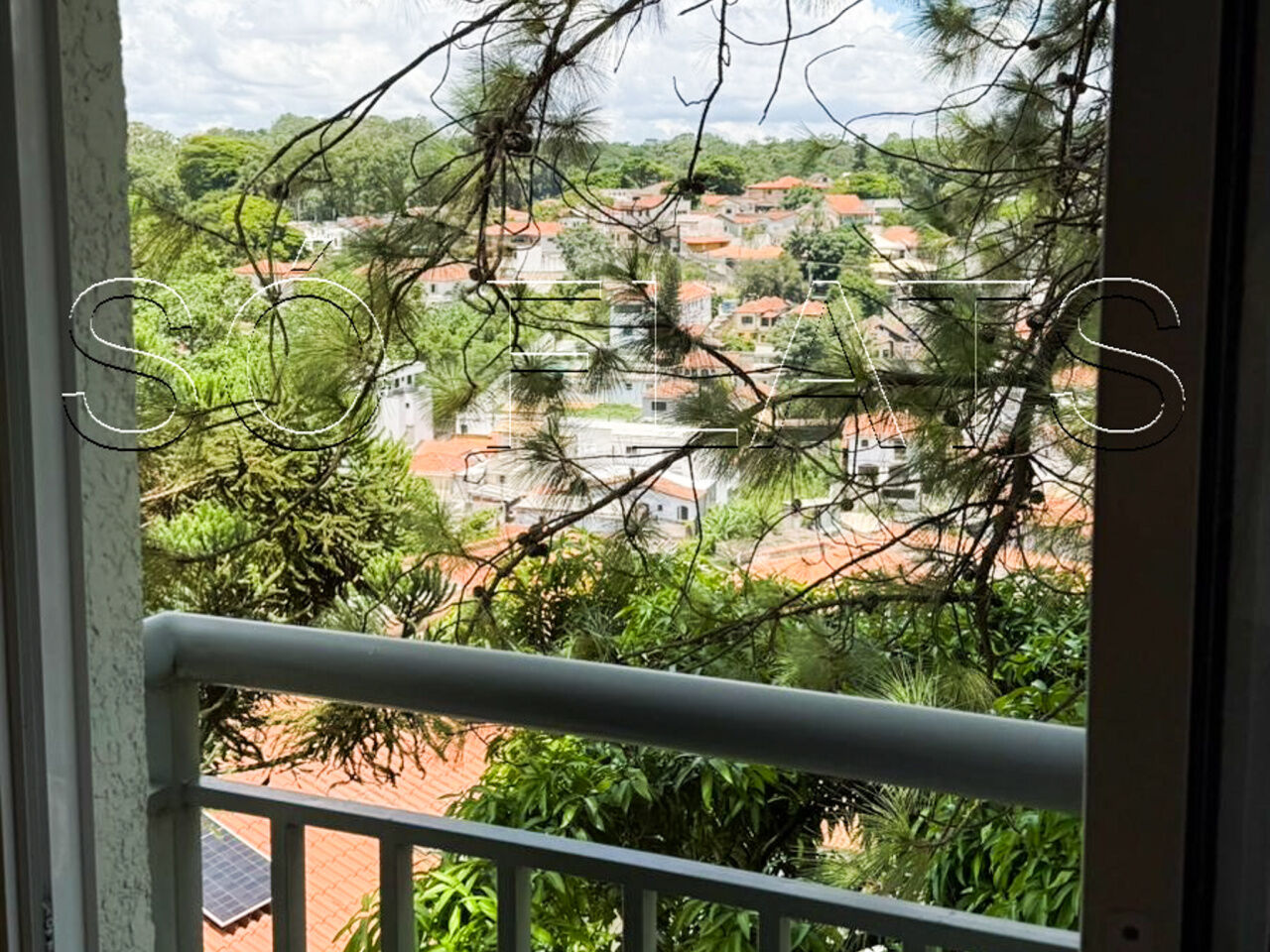 Foto 15
