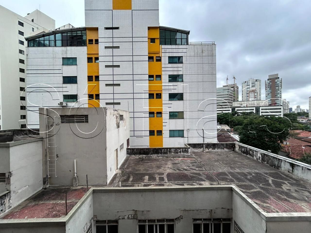 Foto 11