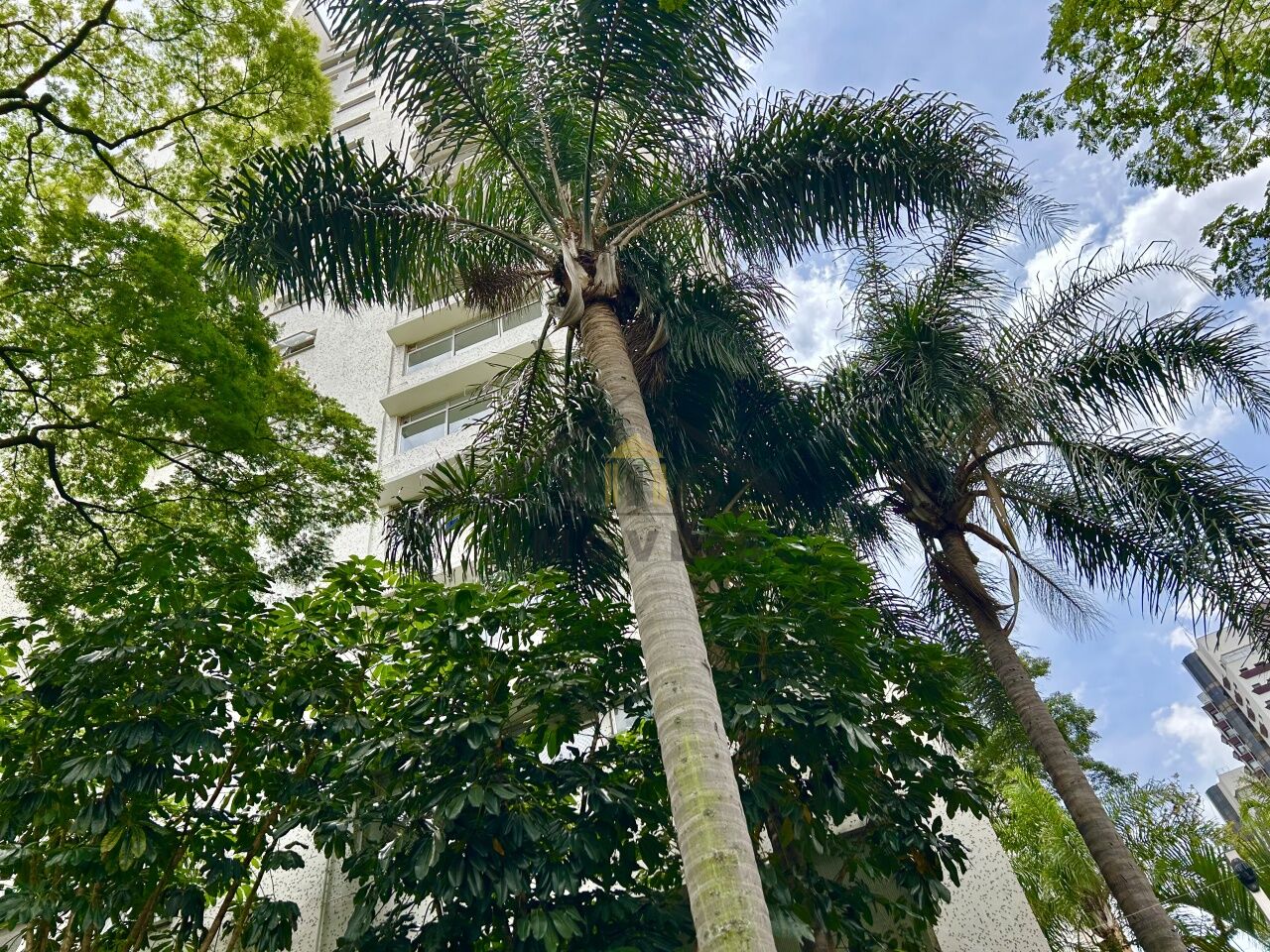 Apartamento para Locação - Água Fria