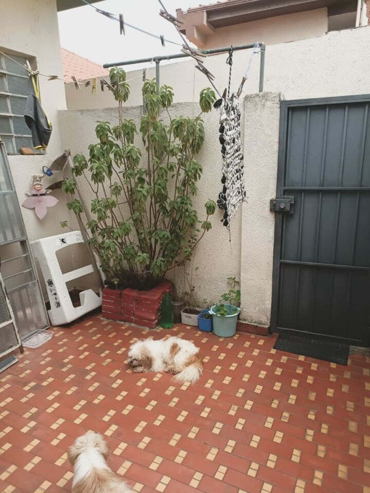 Casa Assobradada para Venda - Jardim Pinhal