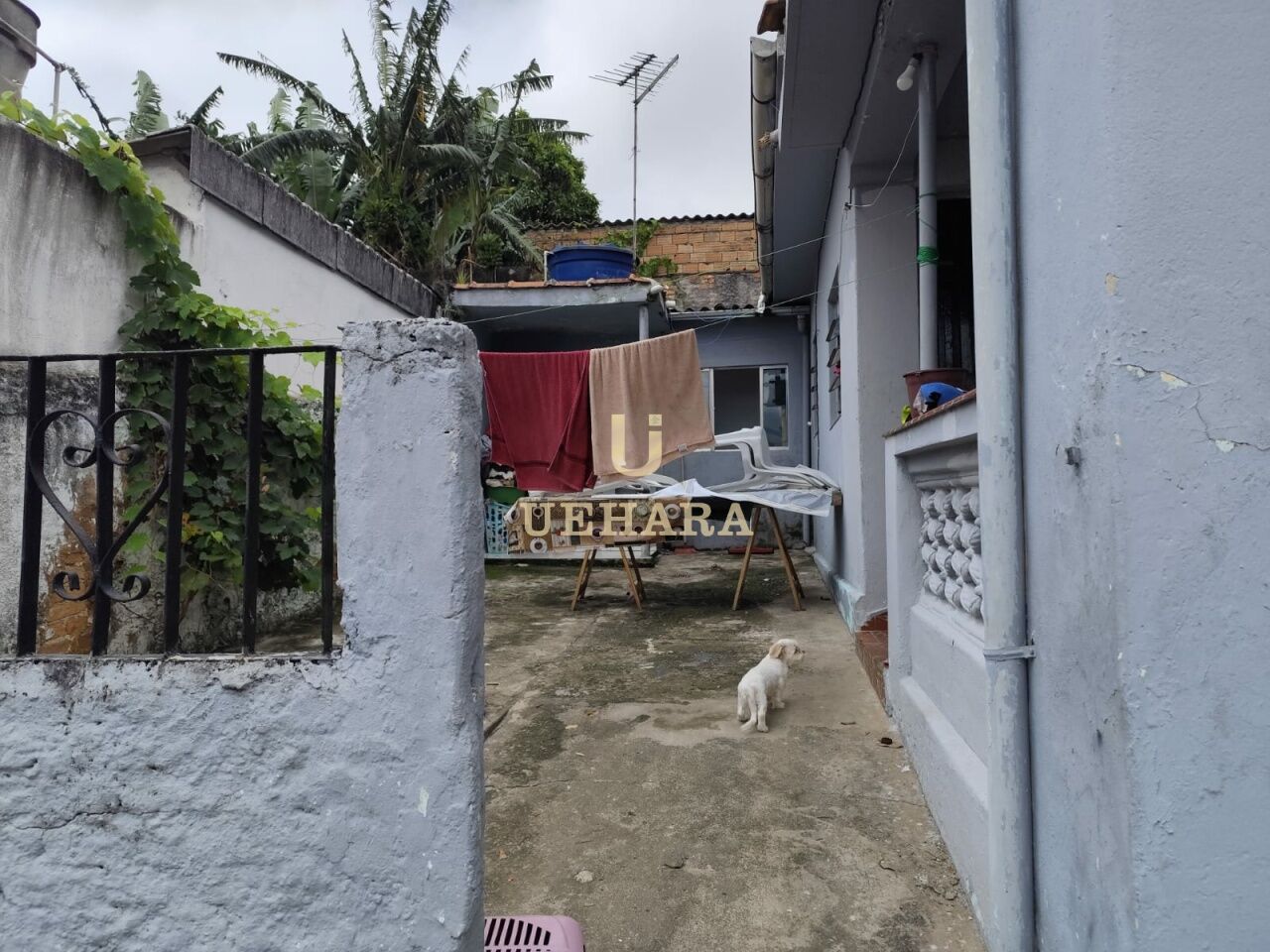 Casa para Venda - Parque Peruche