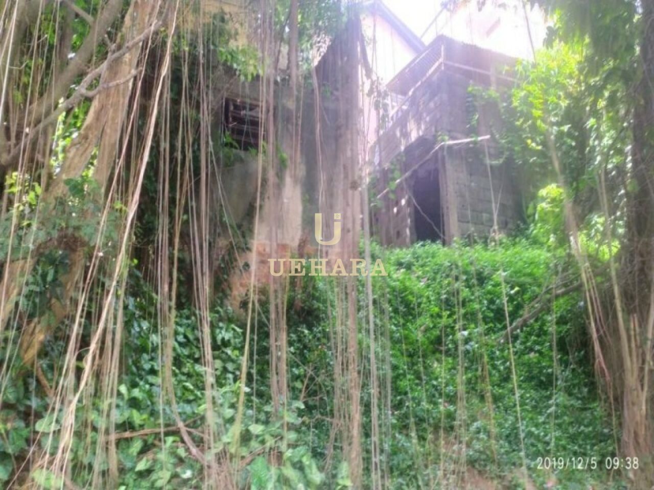 Terreno para Venda - Vila Santa Maria