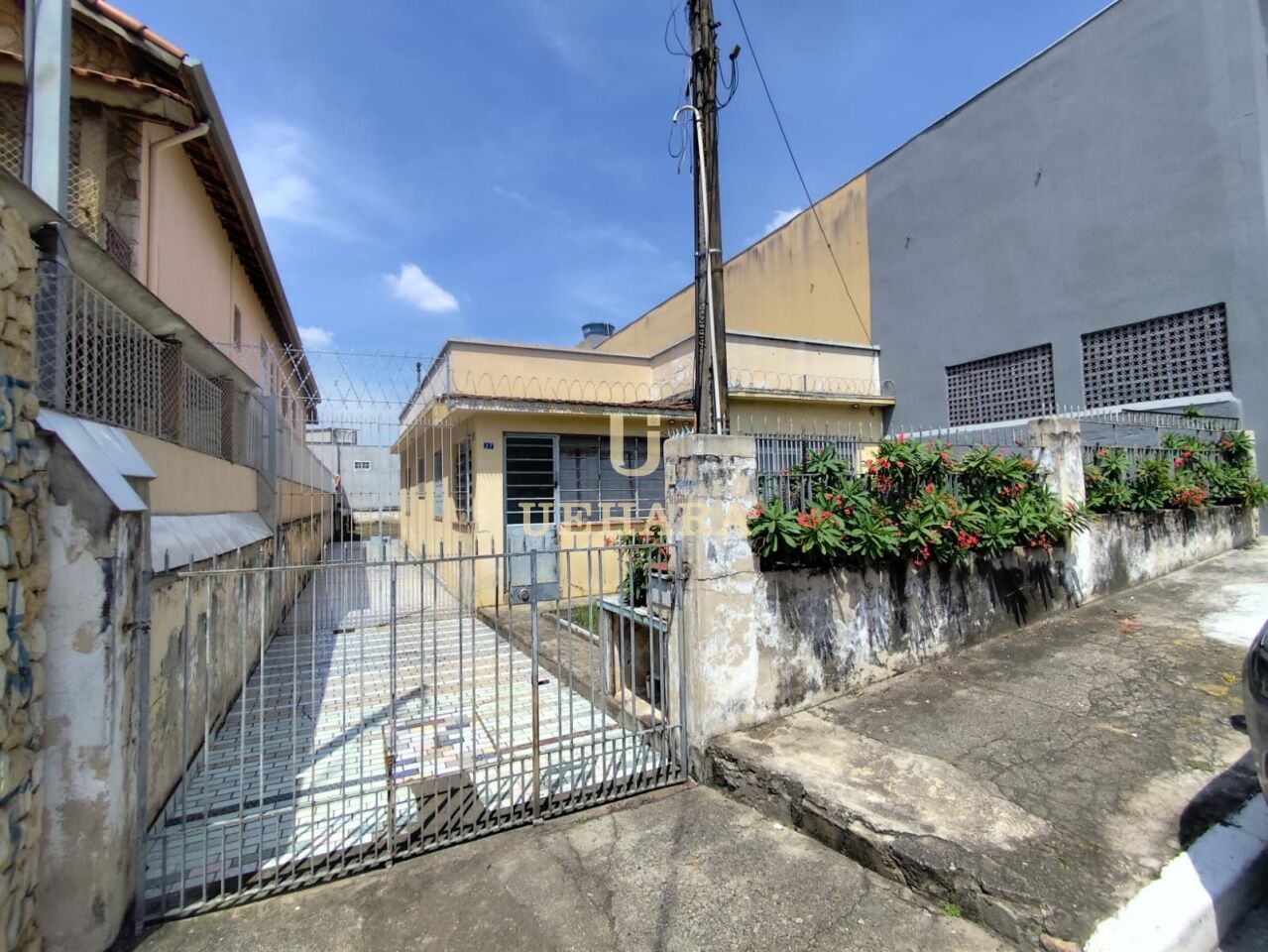 Casa para Venda - Casa Verde Alta