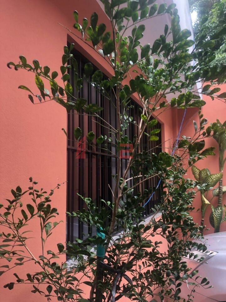 Comercial para Venda - Vila Hamburguesa