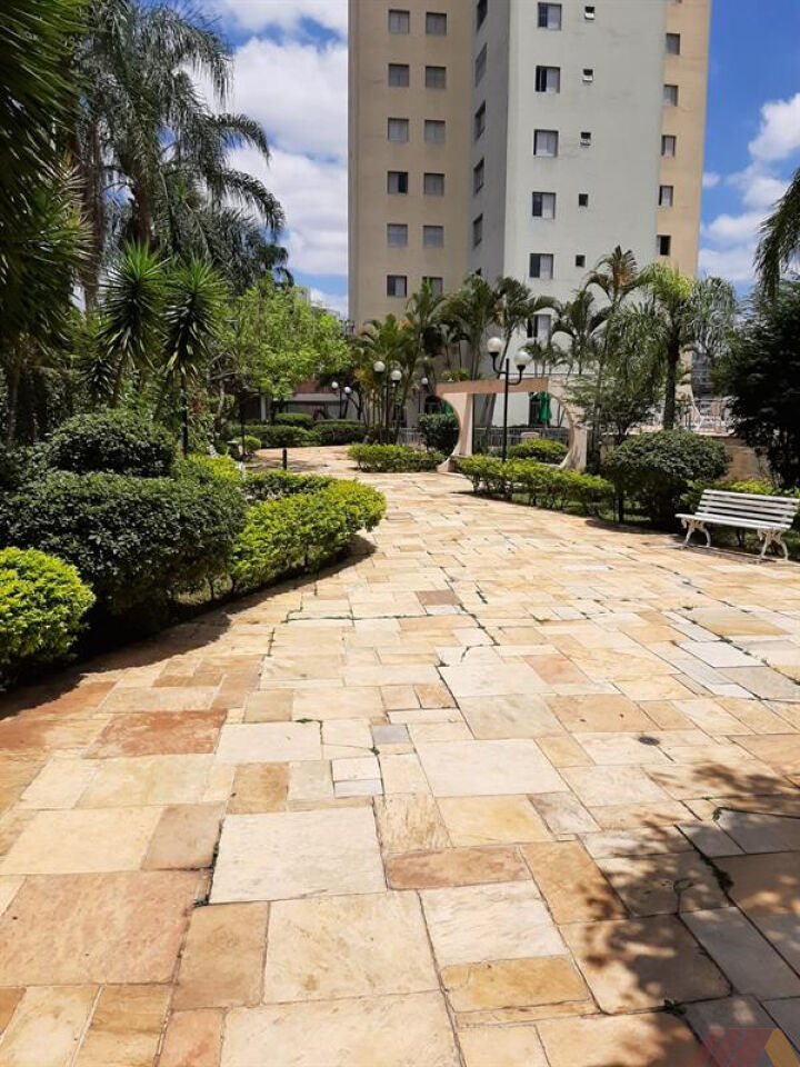 Apartamento para Venda - Vila Gustavo