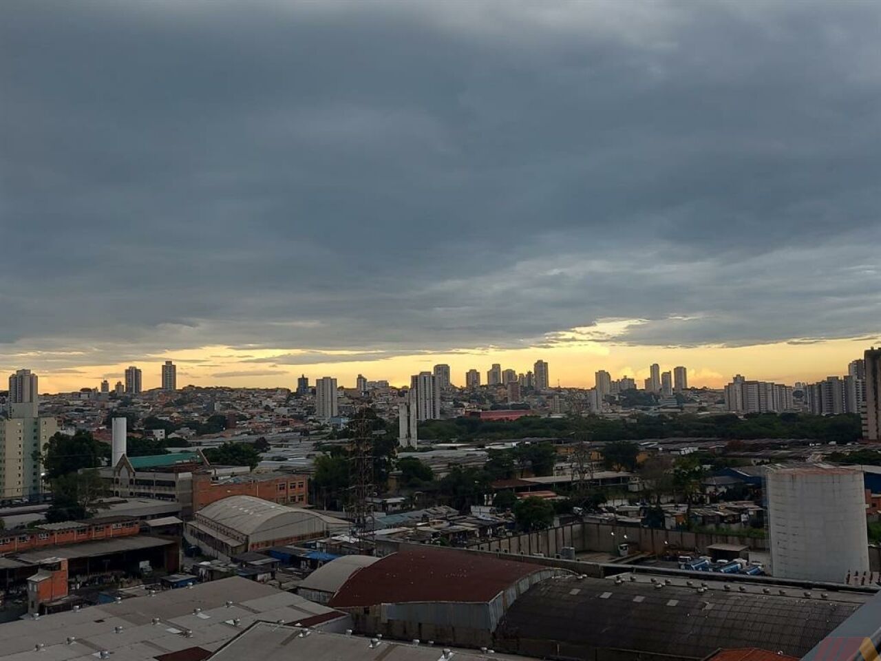 Apartamento para Venda - Vila Guilherme