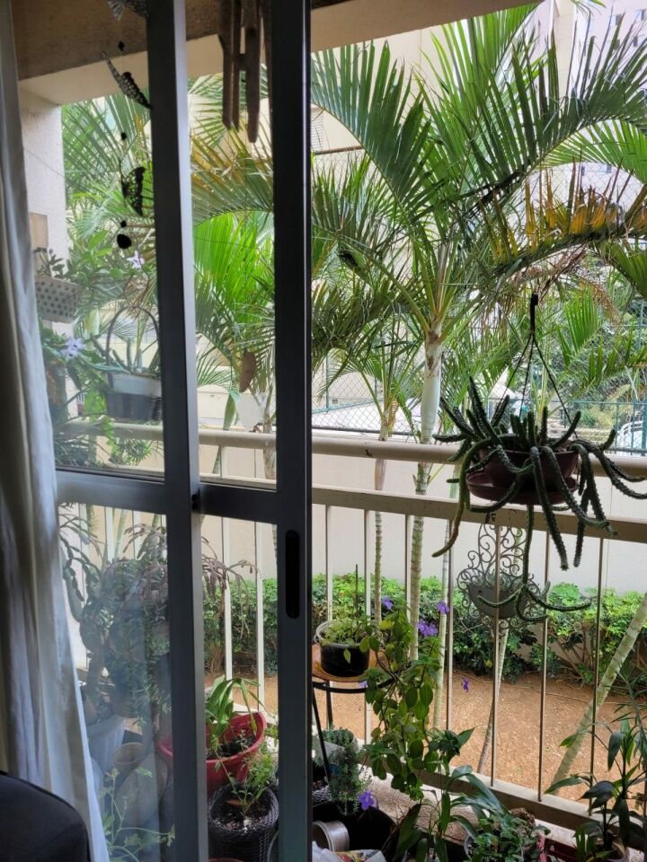 Apartamento para Venda - Paulicéia