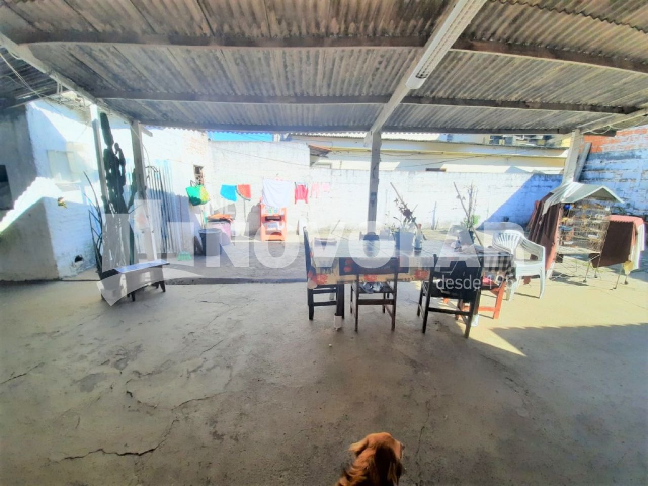 Foto 8 do imóvel RA5460