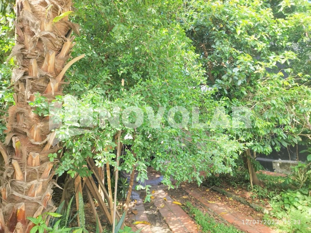 Foto 10 do imóvel RA6294