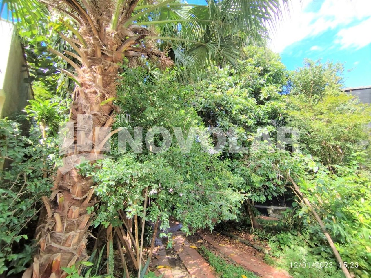 Foto 7 do imóvel RA6294