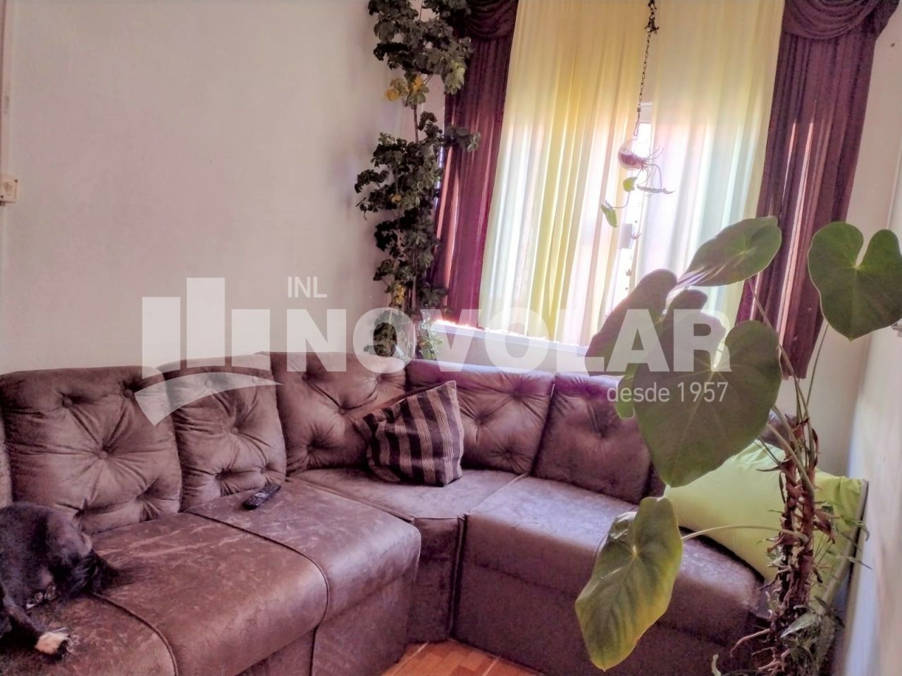 Foto 4 do imóvel RA6411