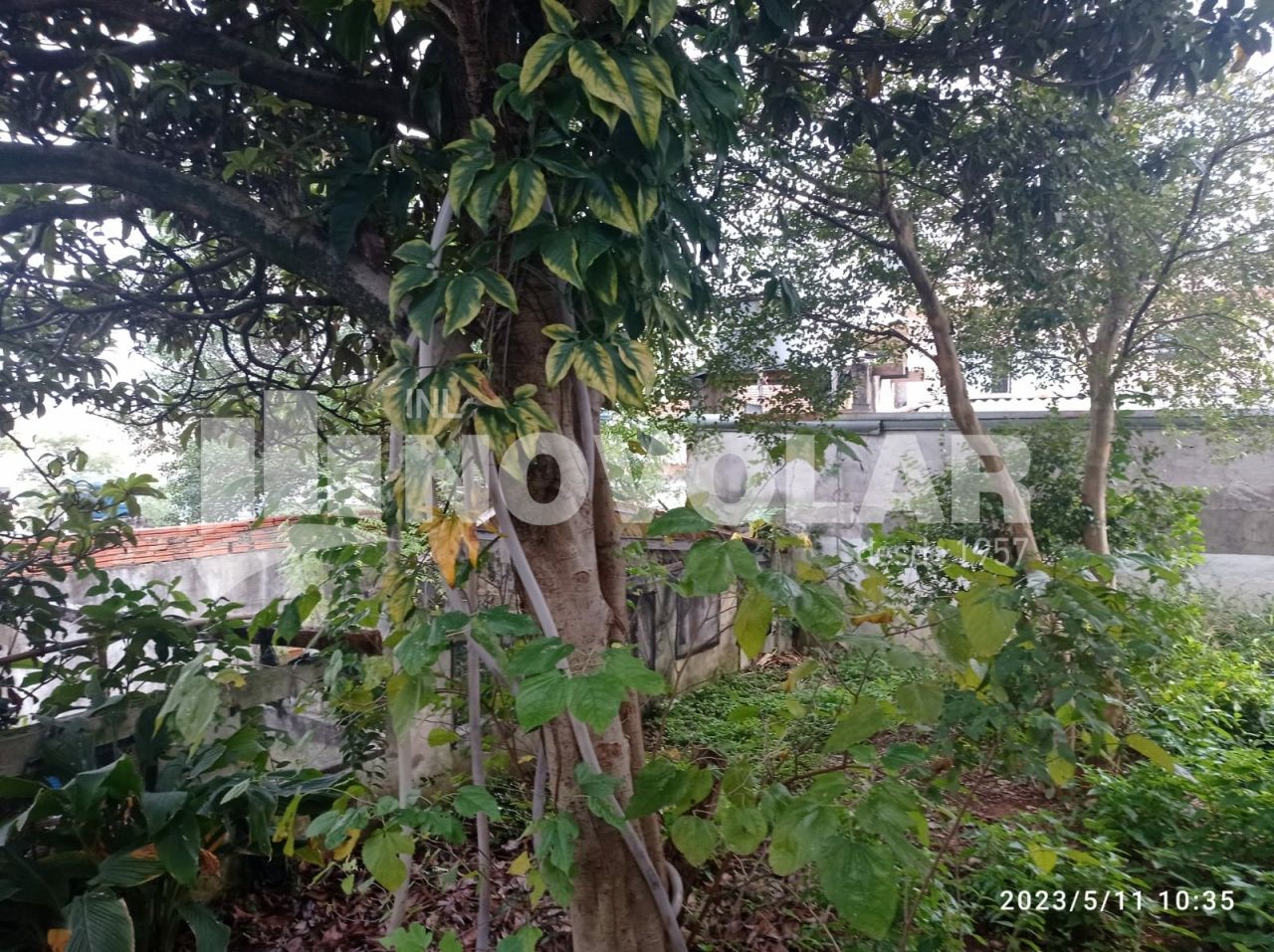 Foto 13 do imóvel RA6511