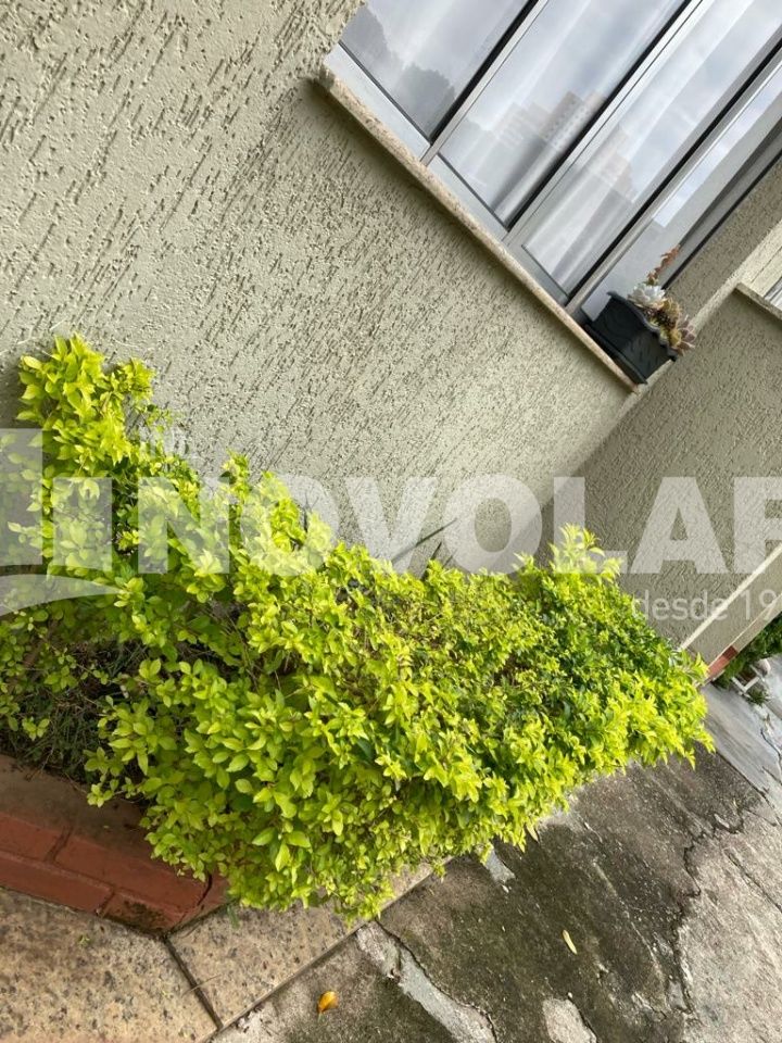 Foto 17 do imóvel SA1170